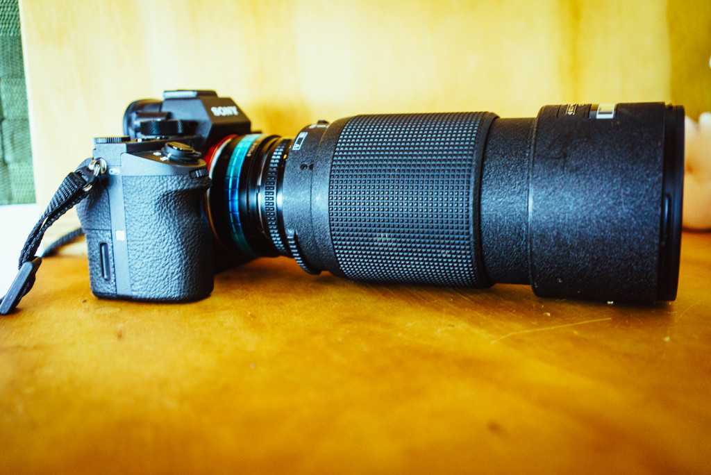 My ancient 80-200mm f/2.8