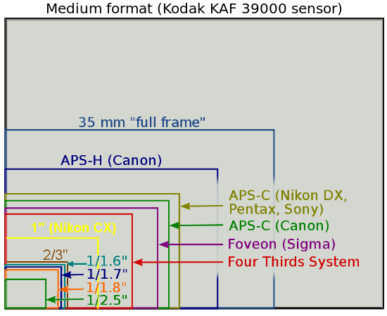 Sensor Sizes