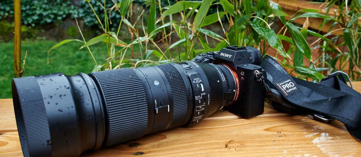 Sigma 100-400 Goes to Work on a Budget Sony Mirrorless Pro