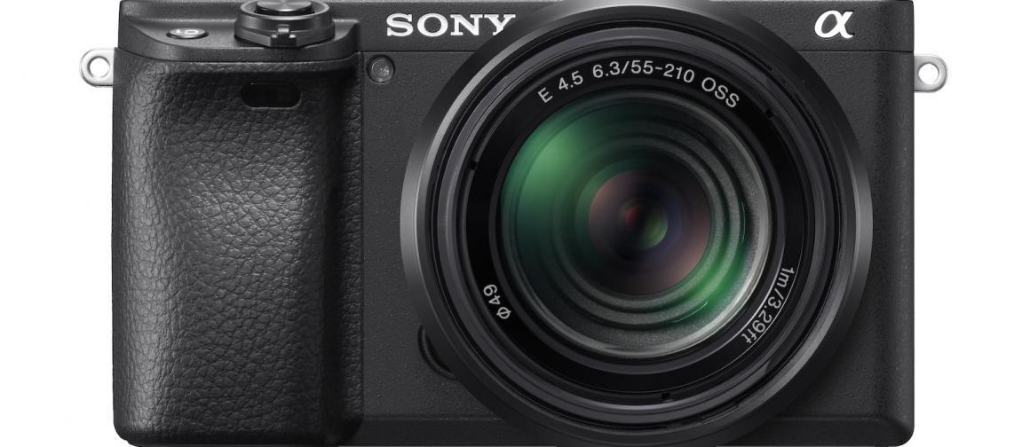 Sony A6400 Animal Eye AF Setup Guide and Demo - Alpha Shooters