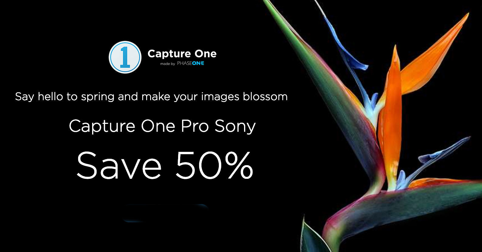 capture one cost