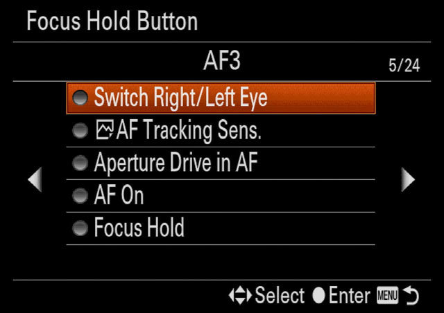 What's New in Sony a9 Firmware 5 and Sony mirrorless cameras