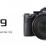 What's New in Sony a9 Firmware 5 and Sony mirrorless cameras