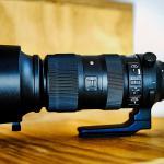 SIGMA 60-600mm: a Range for Almost Anything