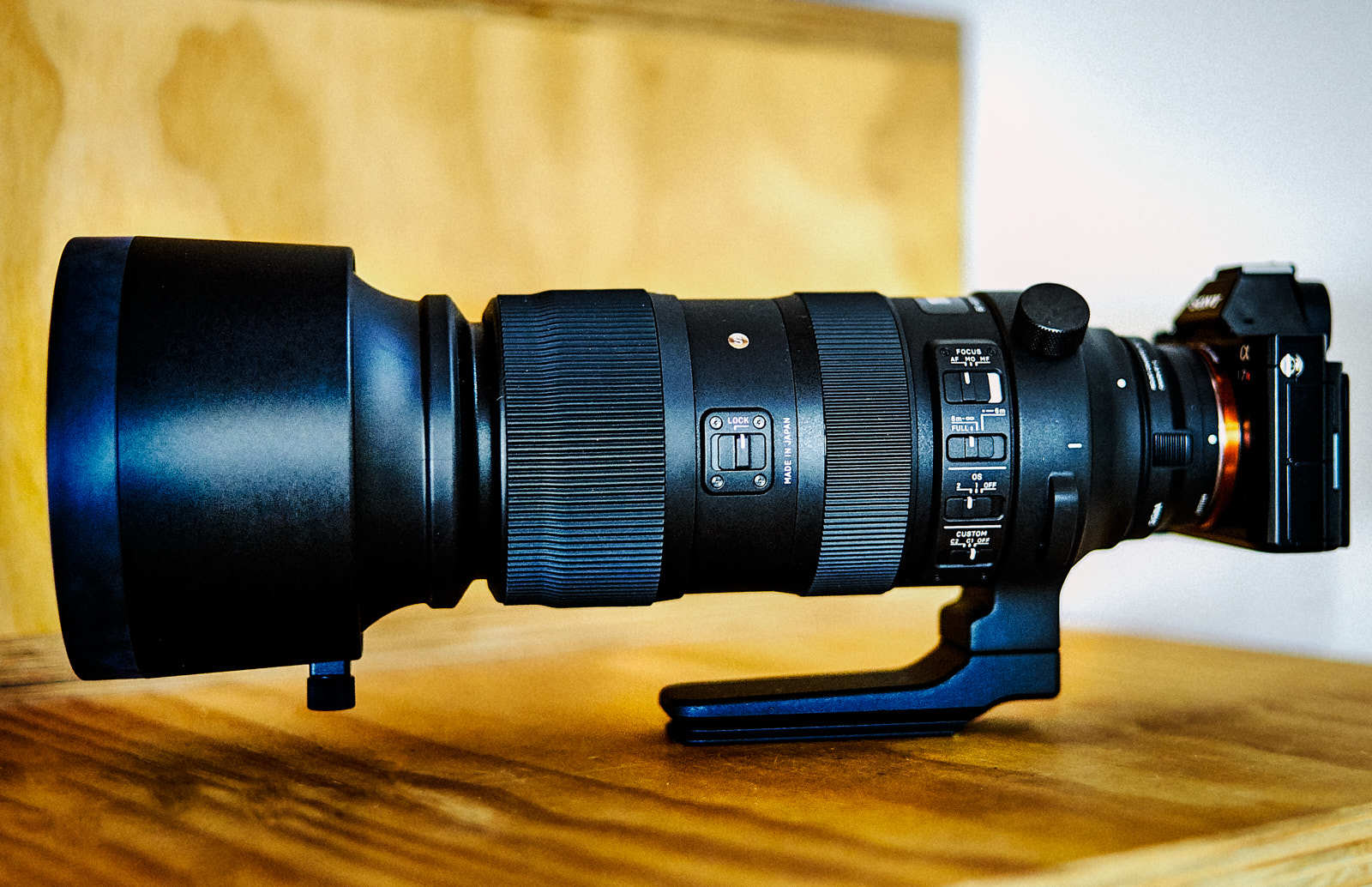 SIGMA 60-600mm: a Range for Almost Anything