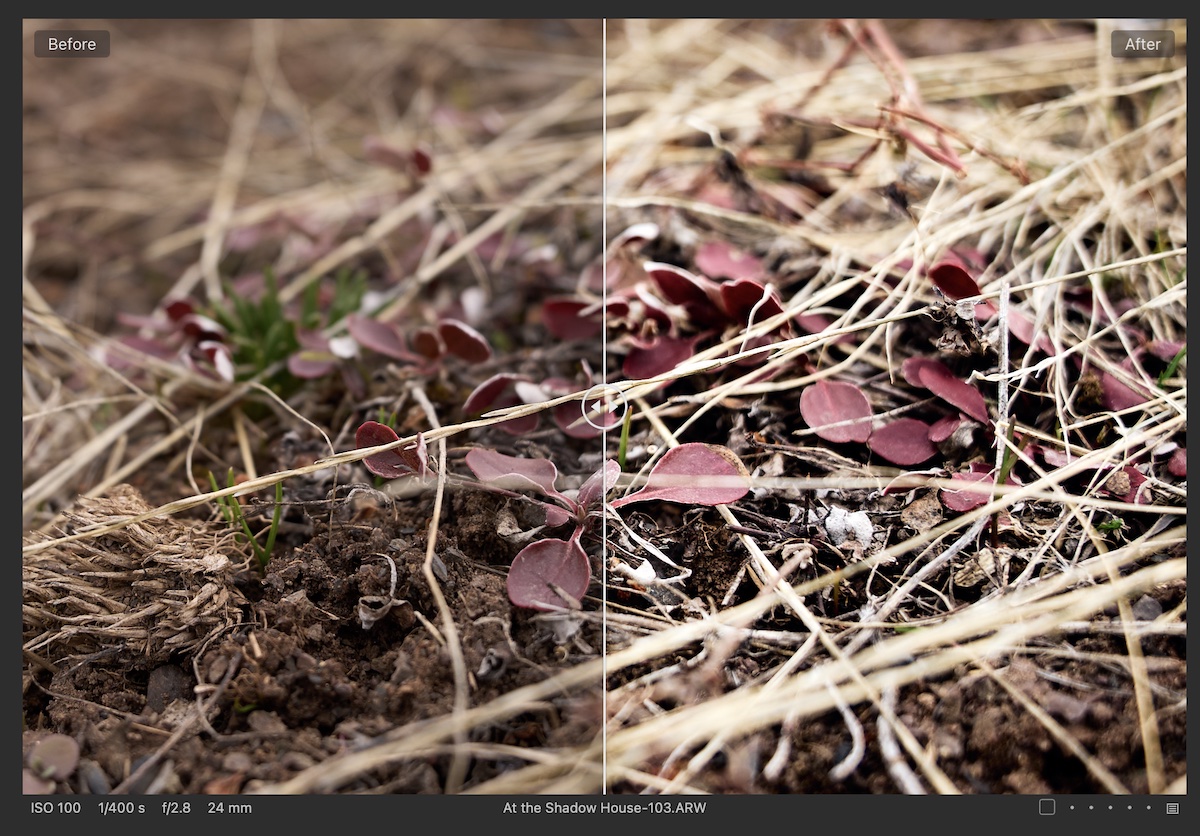 Capture One New Style Packs