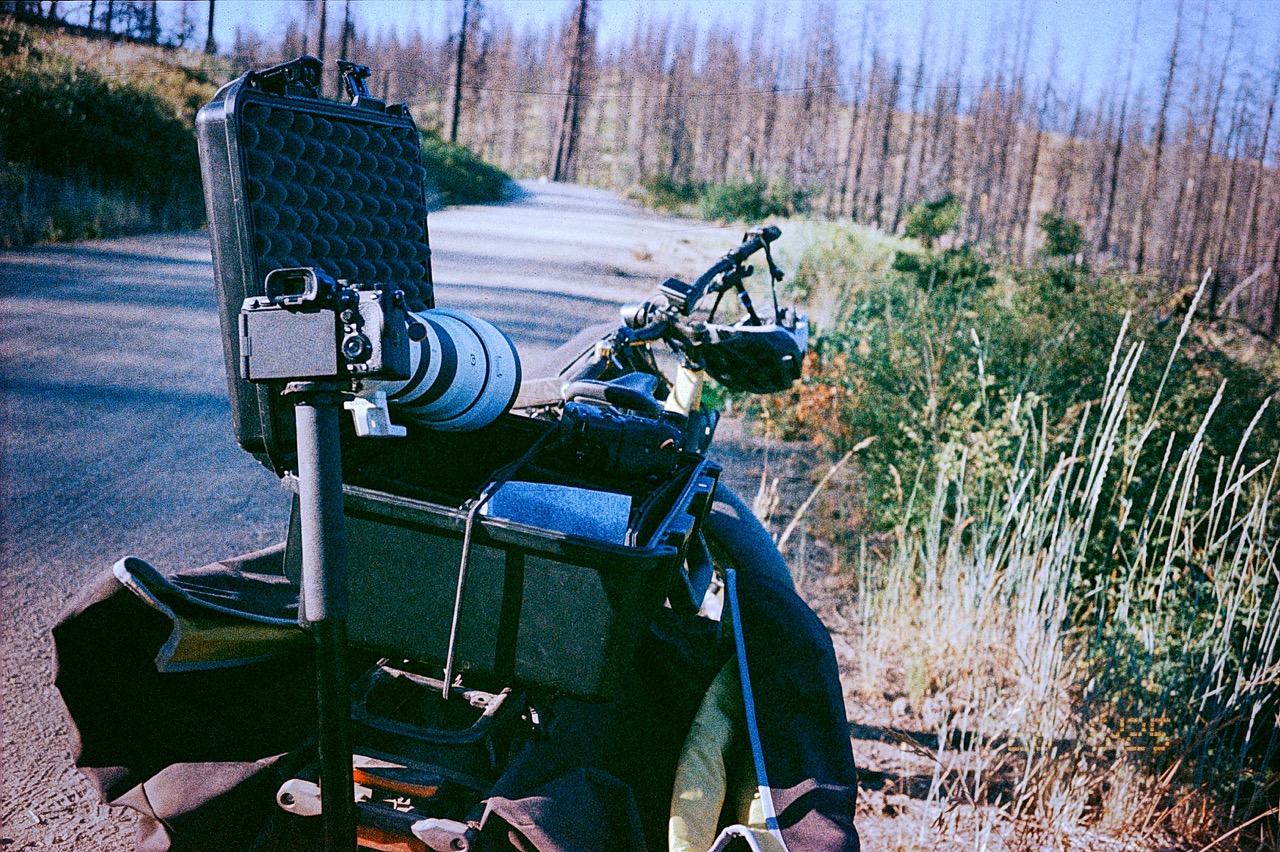 Having just shot with Sony for a IR story, I'm interested in what's next.